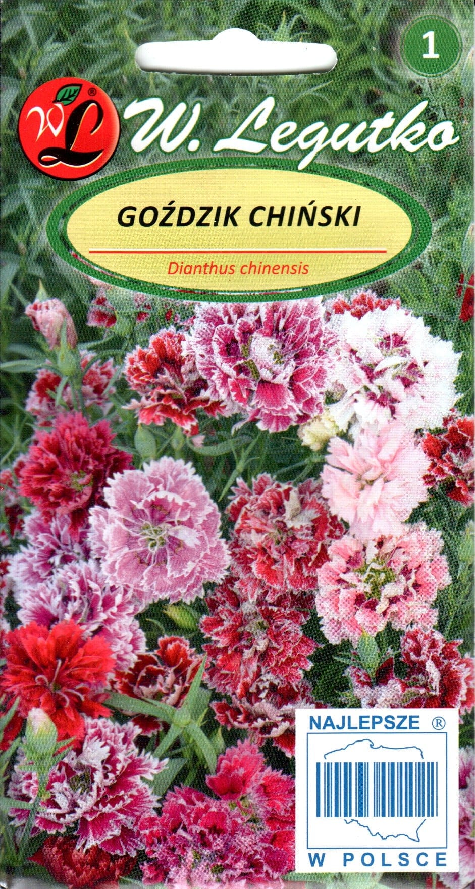 Hiina nelk segu