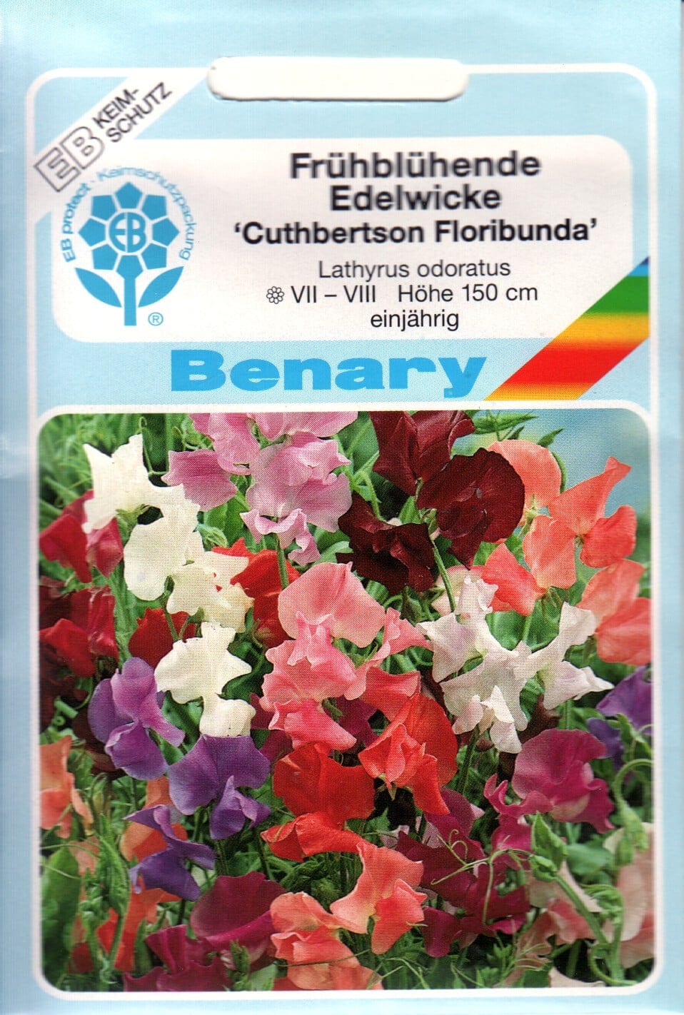 Lõhnav lillhernes "Cuthbertson Floribunda"