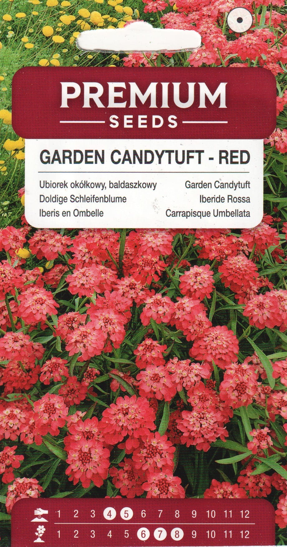Sarikibeeris "Red Flash"