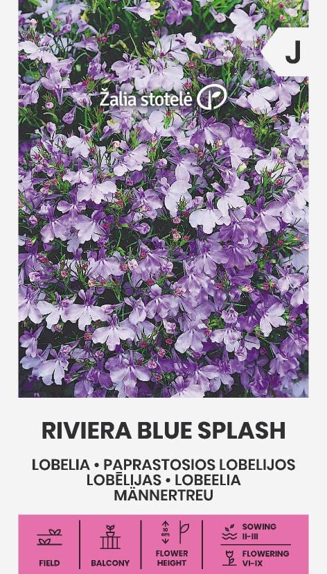 Lobeelia "Riviera Blue Splash"