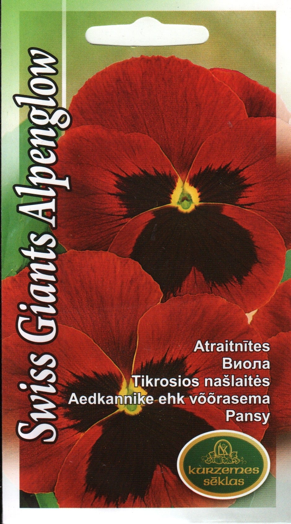 Võõrasema "Swiss Giants Alpenglow"