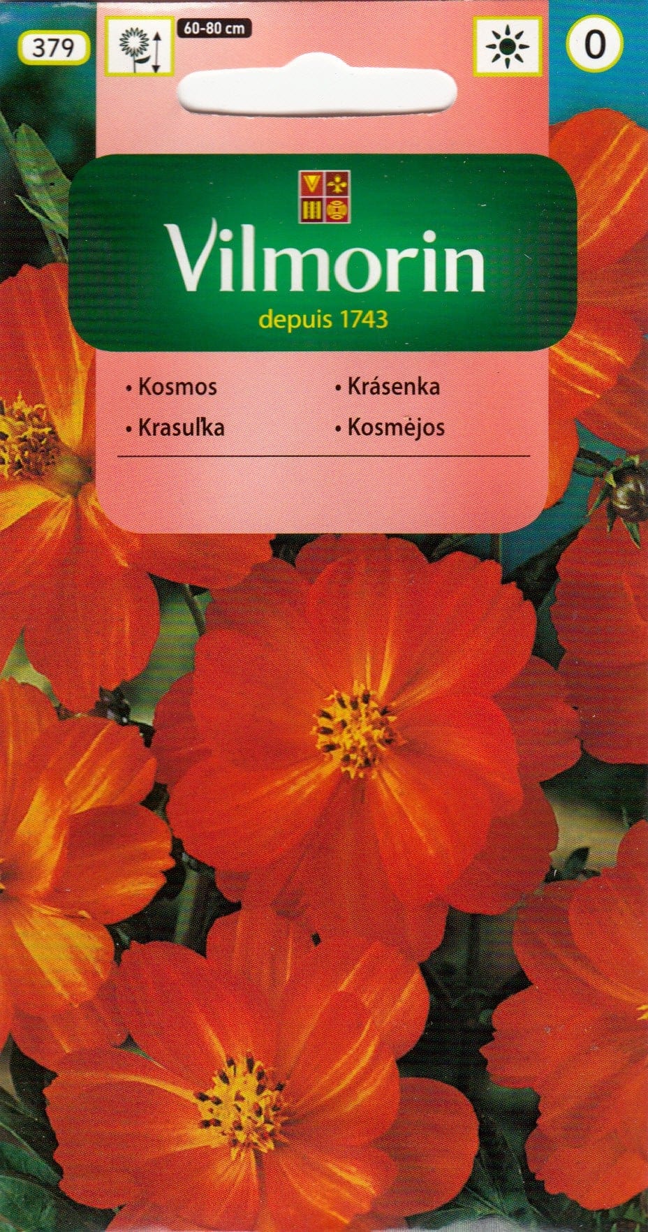 Väävelkollane kosmos "Diablo"