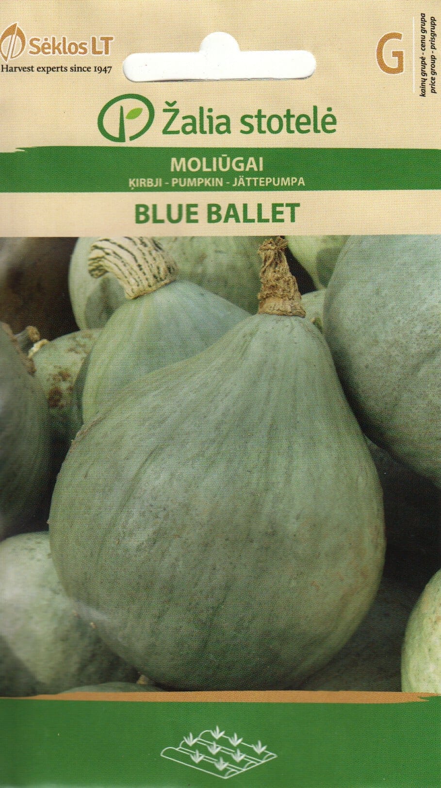 Kõrvits "Blue Ballet"