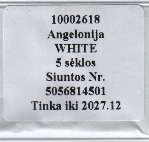 Inglilill "White"