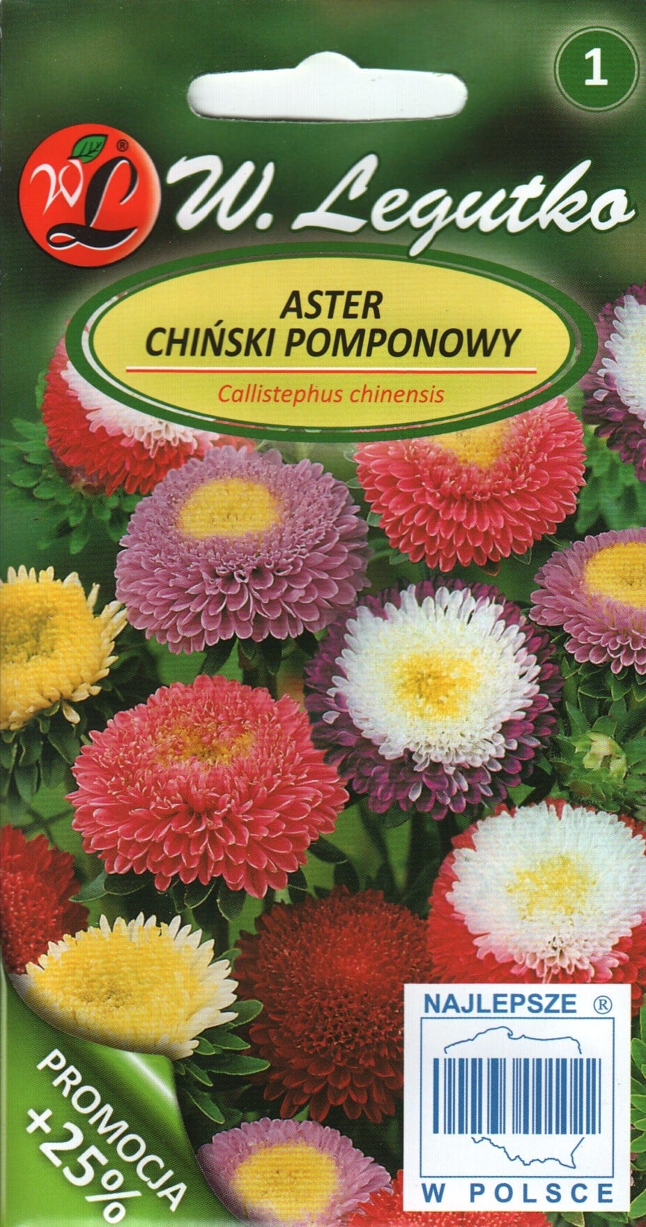 Aster segu