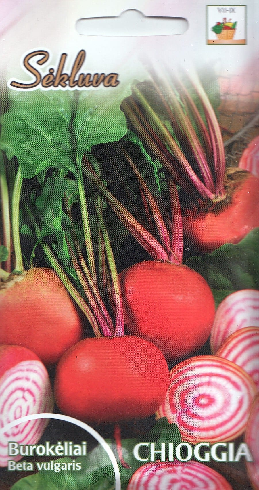 Peet "Chioggia"