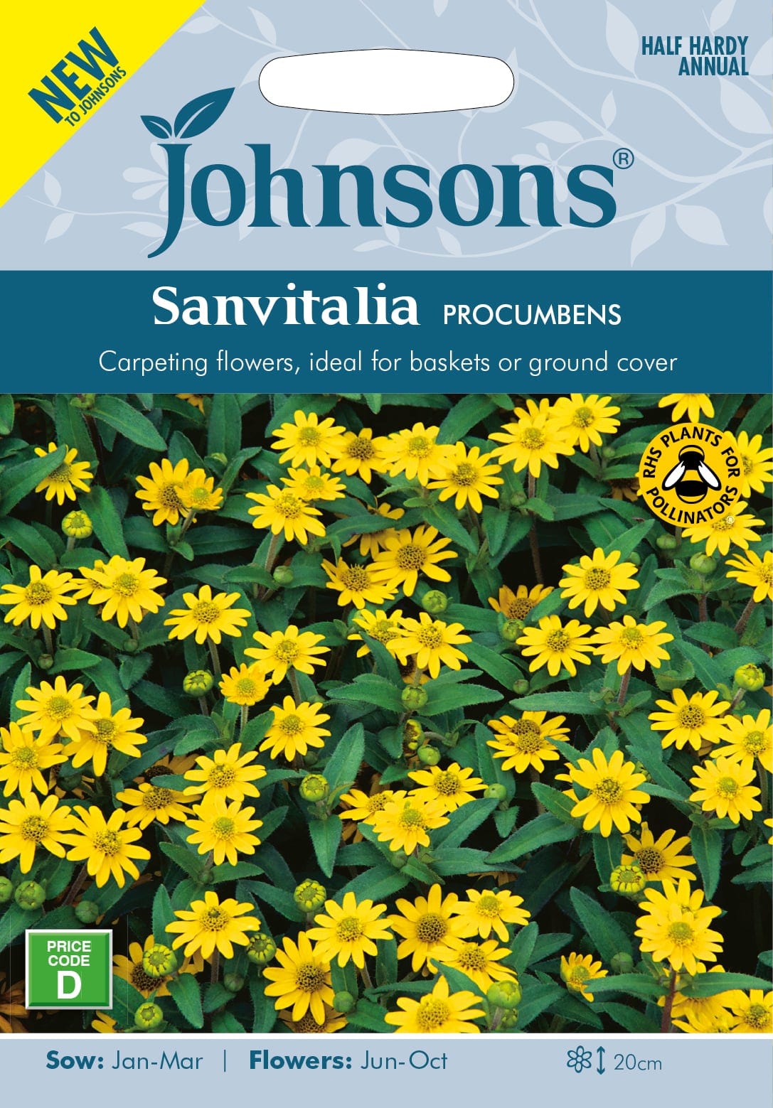 Lamav sanvitaalia