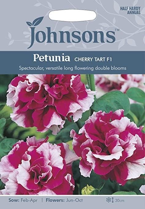 Petuunia "Cherry Tart" F1