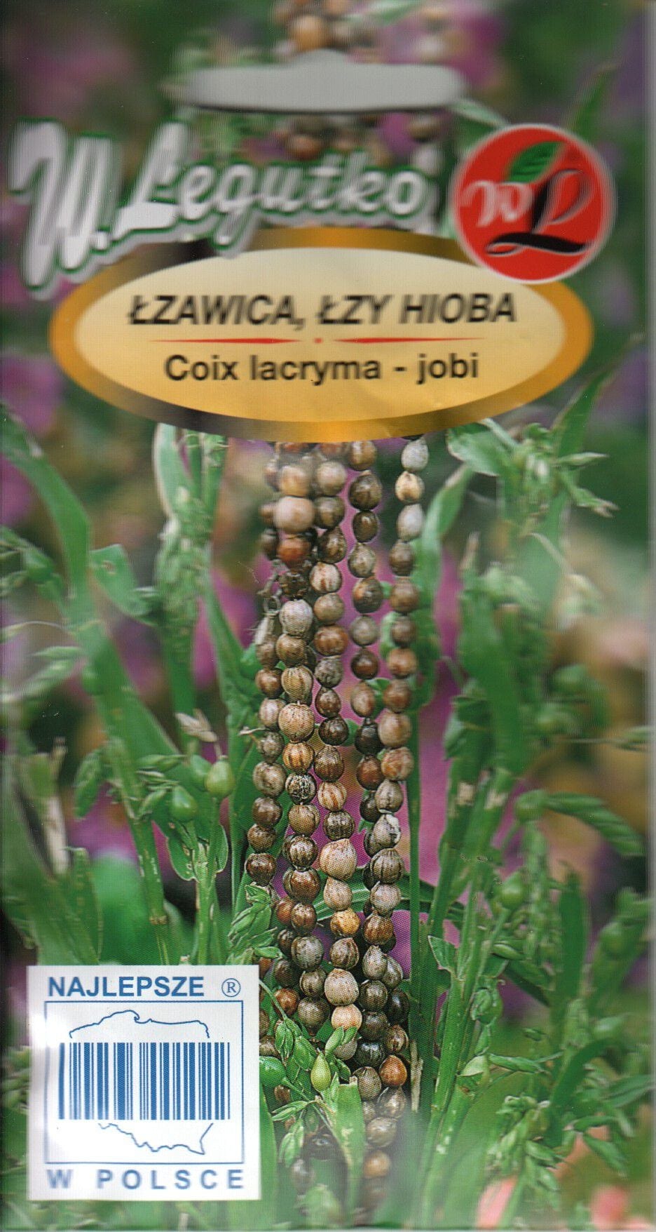Harilik pisarhein - Iiobi pisarad