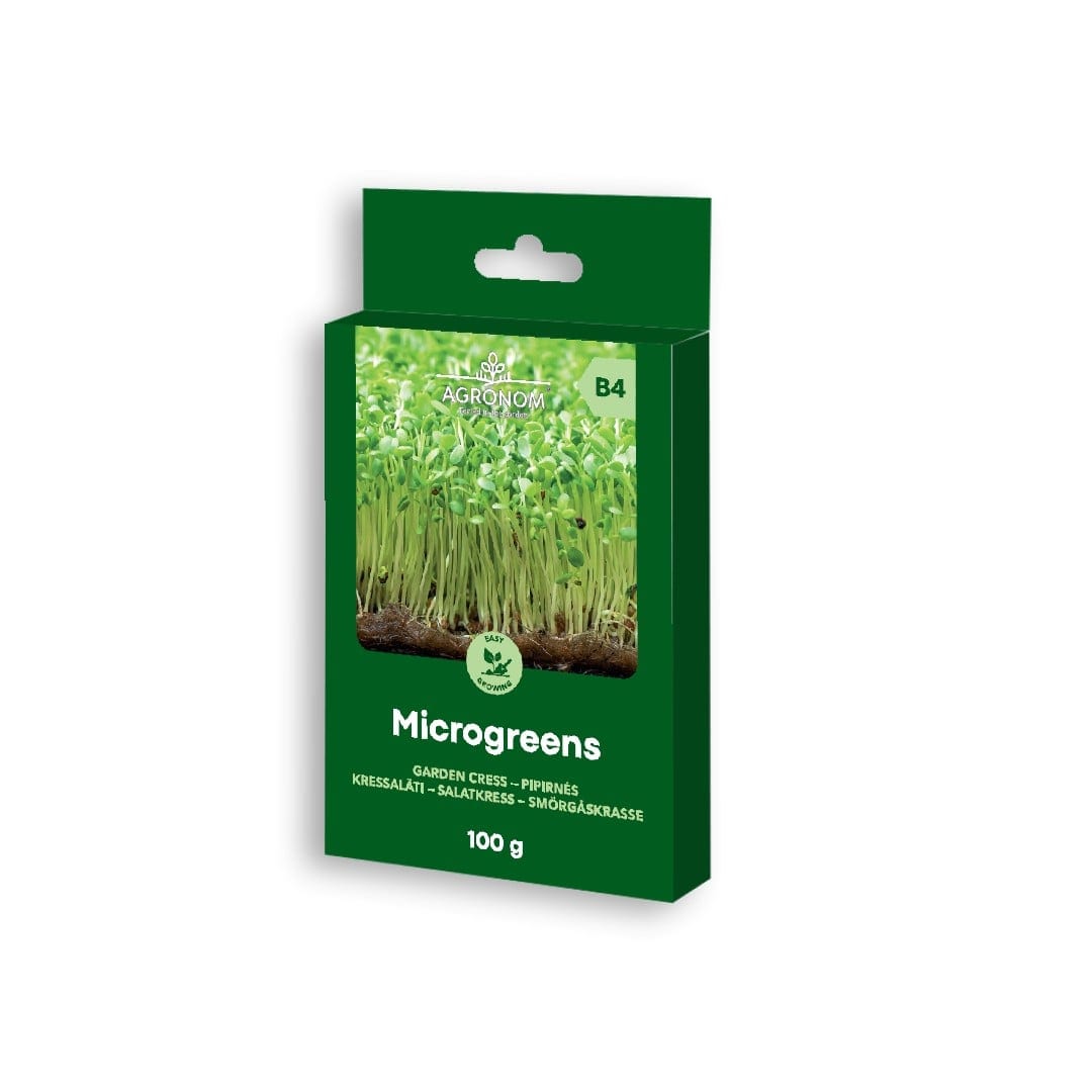Salatkress - kress-salat - microgreens