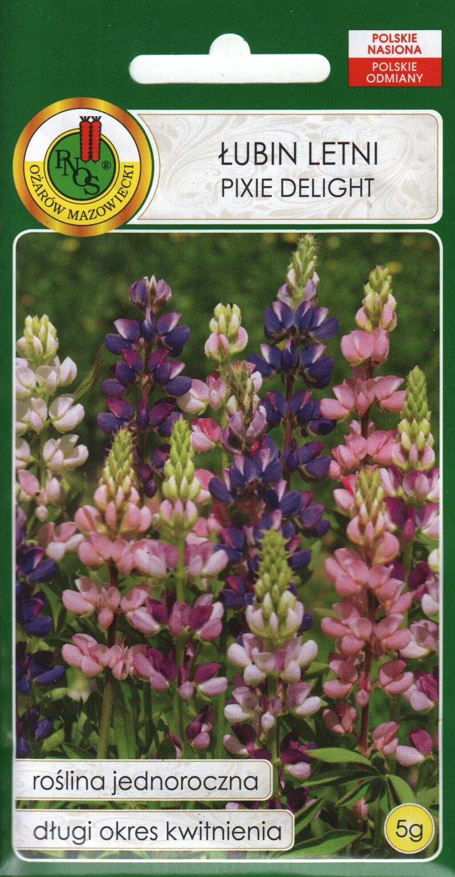 Suvelupiin "Pixie Delight"