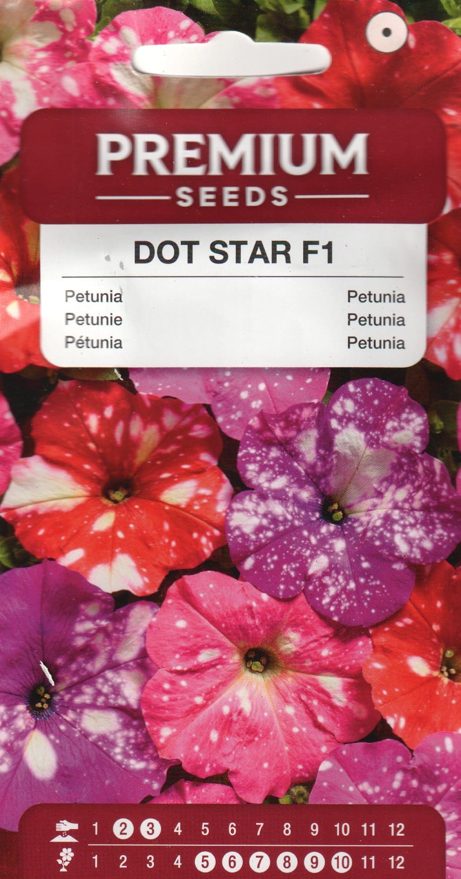 Petuunia "Dot Star Mix" F1