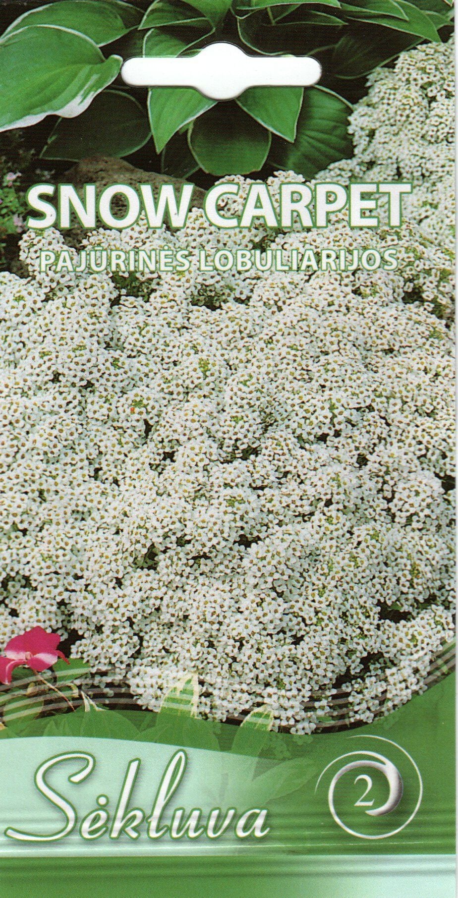 Rand-kivikilbik "Snow Carpet"