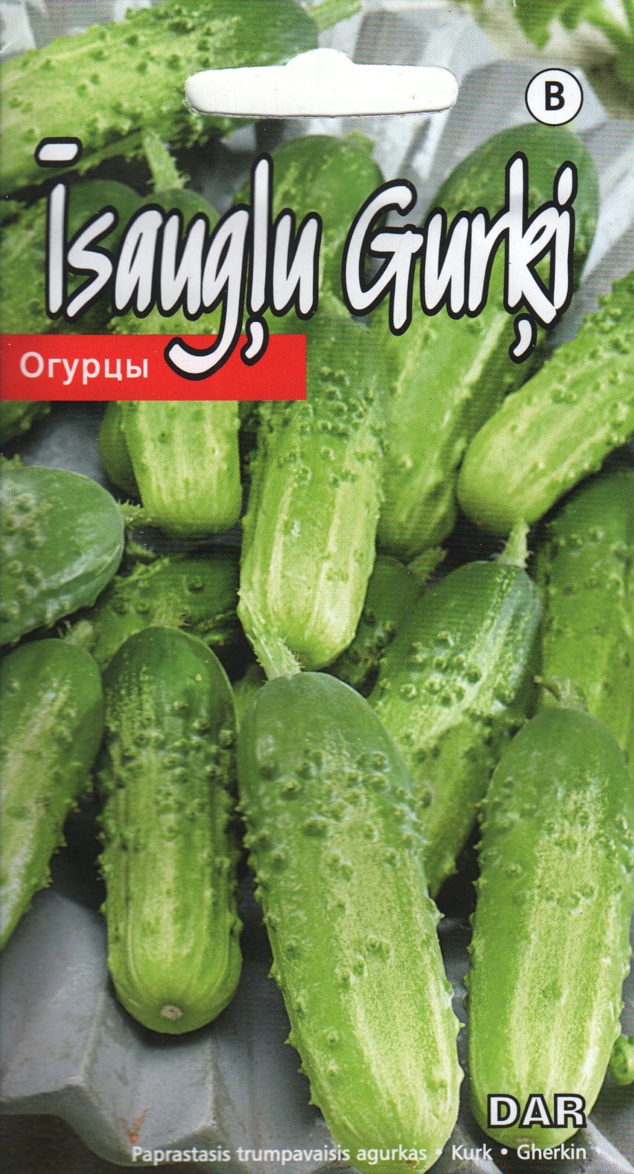Põõsaskurk "Dar"