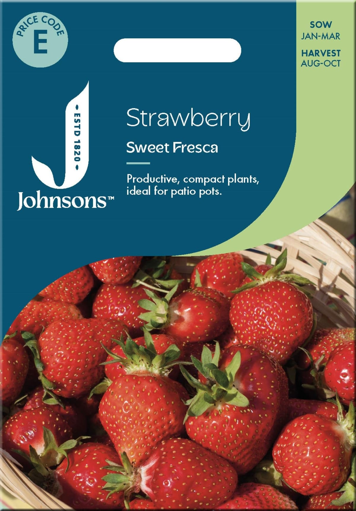 Maasikas "Sweet Fresca"