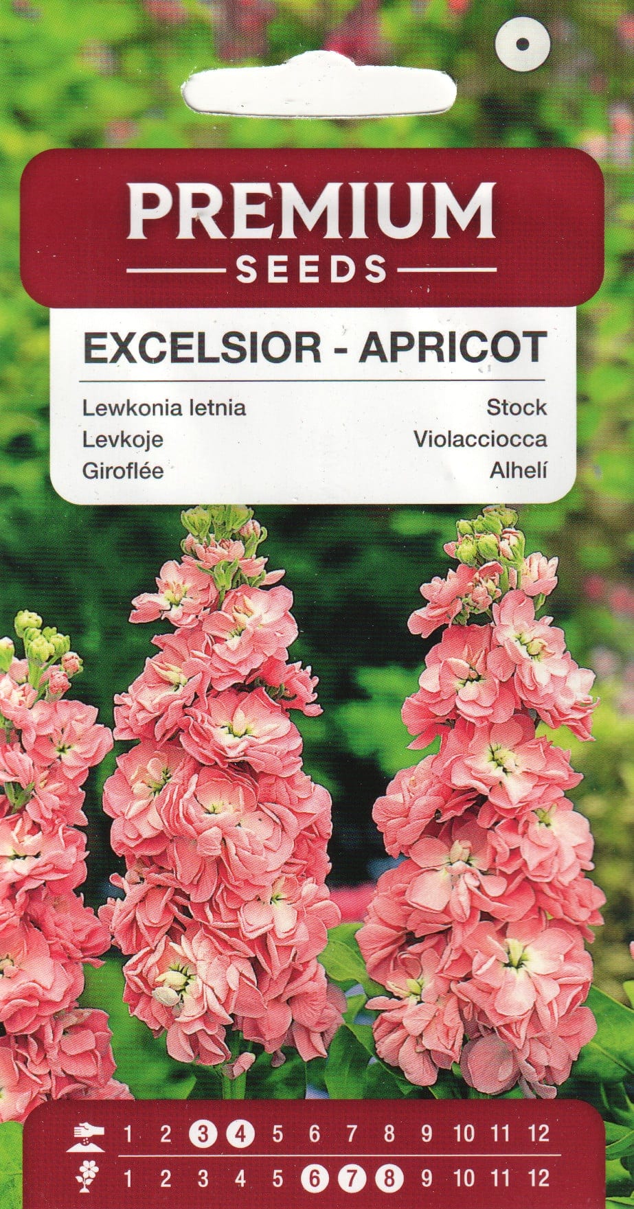 Levkoi "Excelsior Apricot"