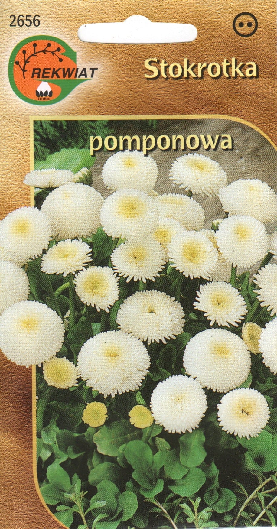 Harilik kirikakar "Pomponette Daisy White"