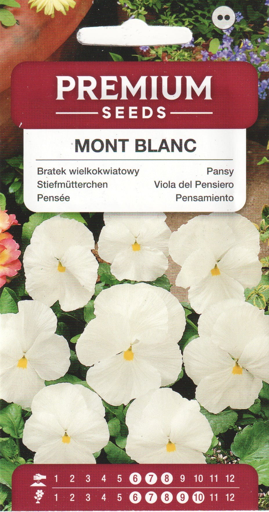 Võõrasema "Mont Blanc"