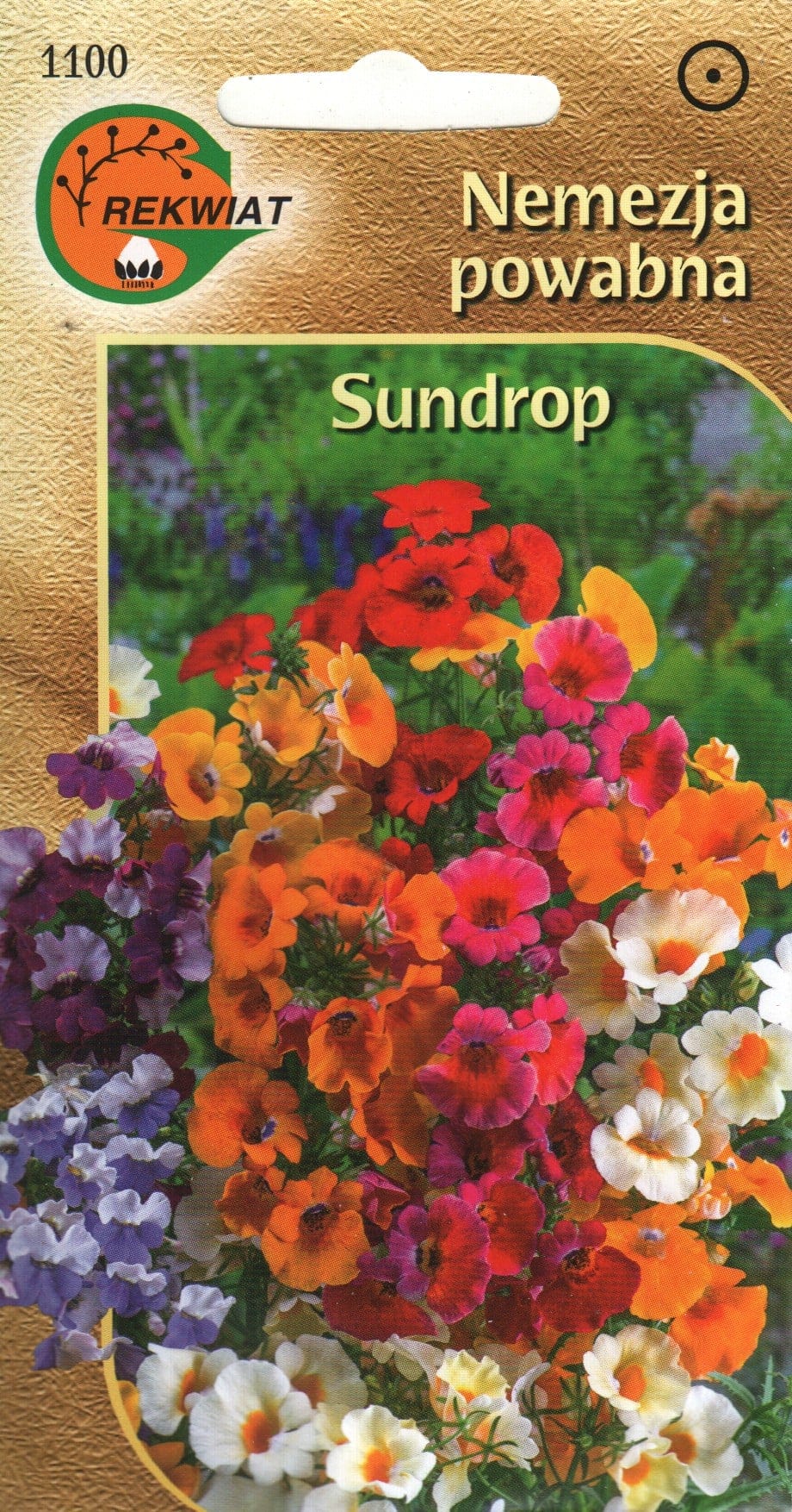Suureõieline nemeesia "Sundrop"