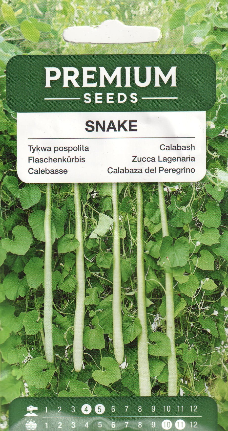 Harilik pudelkõrvits "Snake"