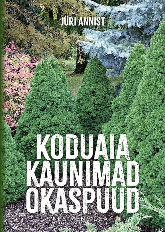 "Koduaia kaunimad okaspuud"
