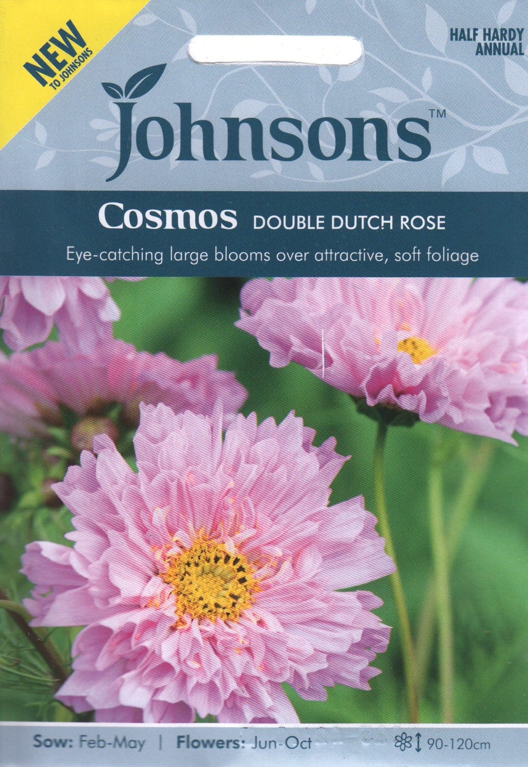 Kosmos "Double Dutch Rose"