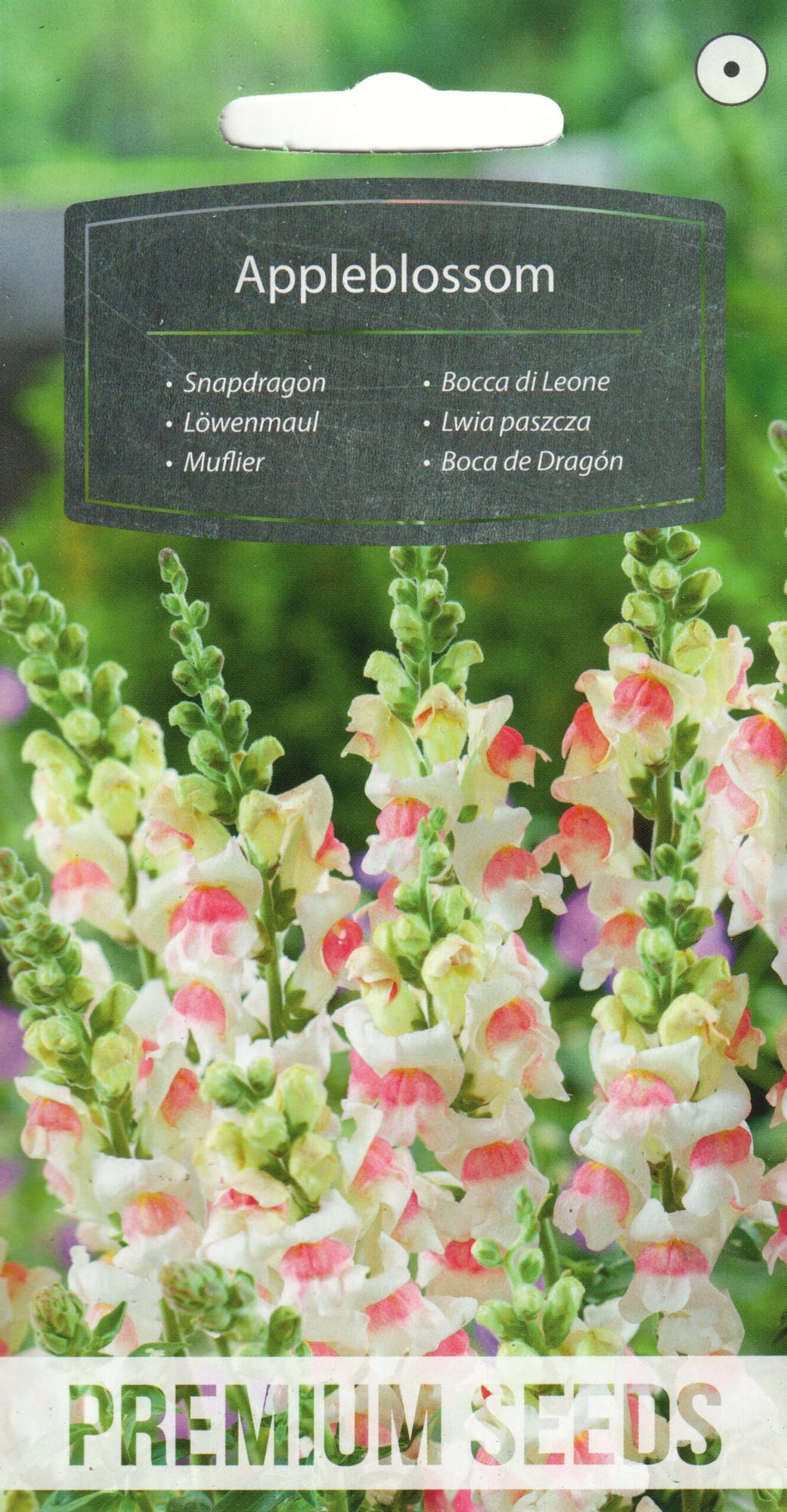 Lõvilõug "Appleblossom"