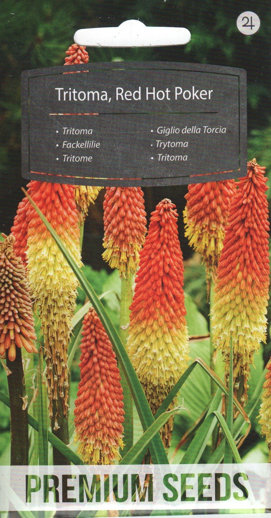 Kobar-tõrvikliilia "Red Hot Poker"