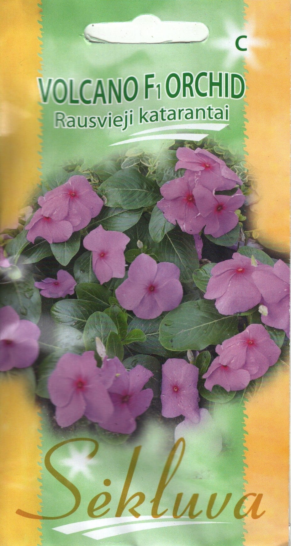 Roosa lõunahali "Volcano Orchid" F1