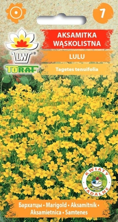 Ahtalehine peiulill "Lulu"