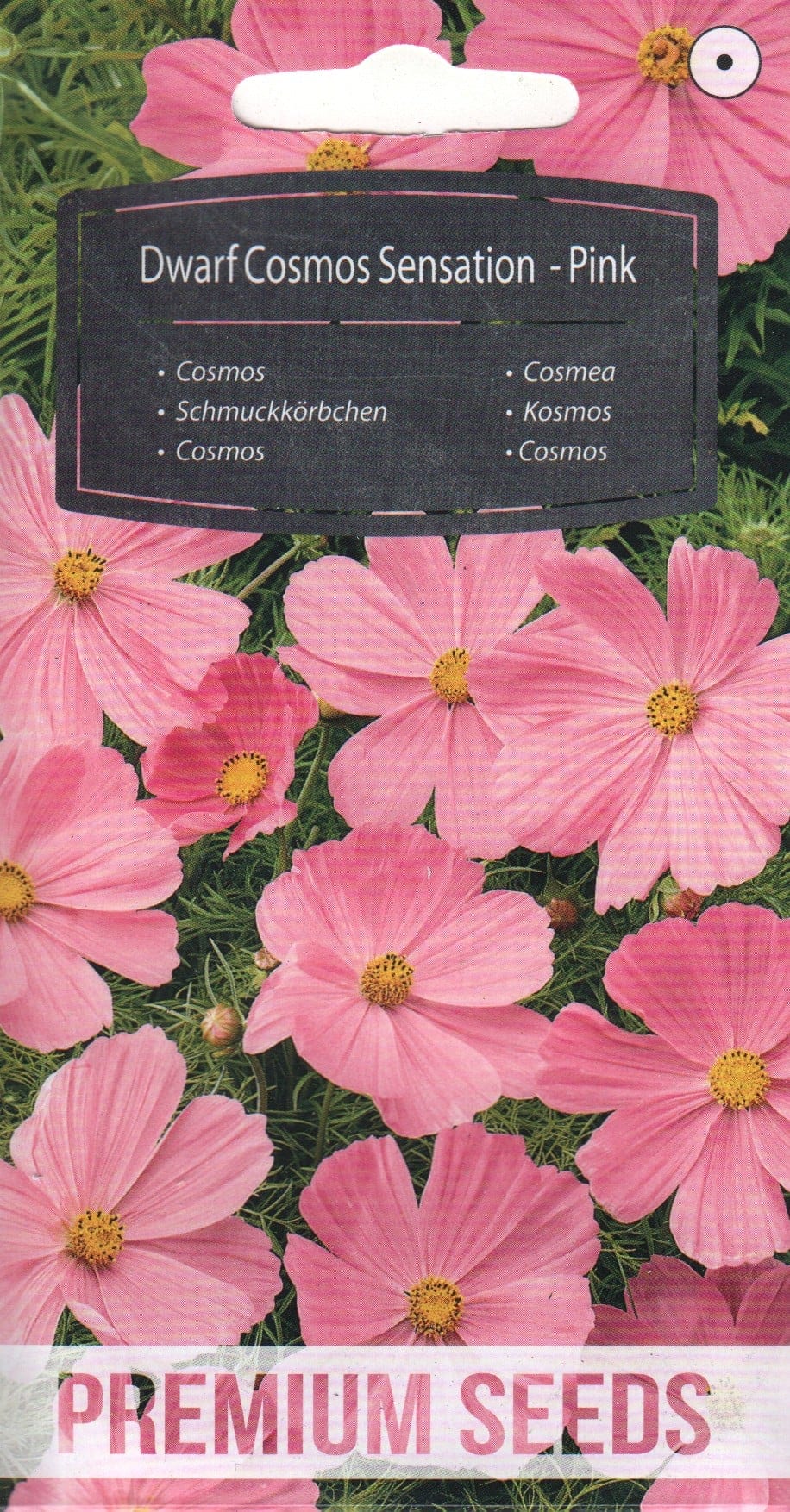 Kosmos "Dwarf Sensation Pink"