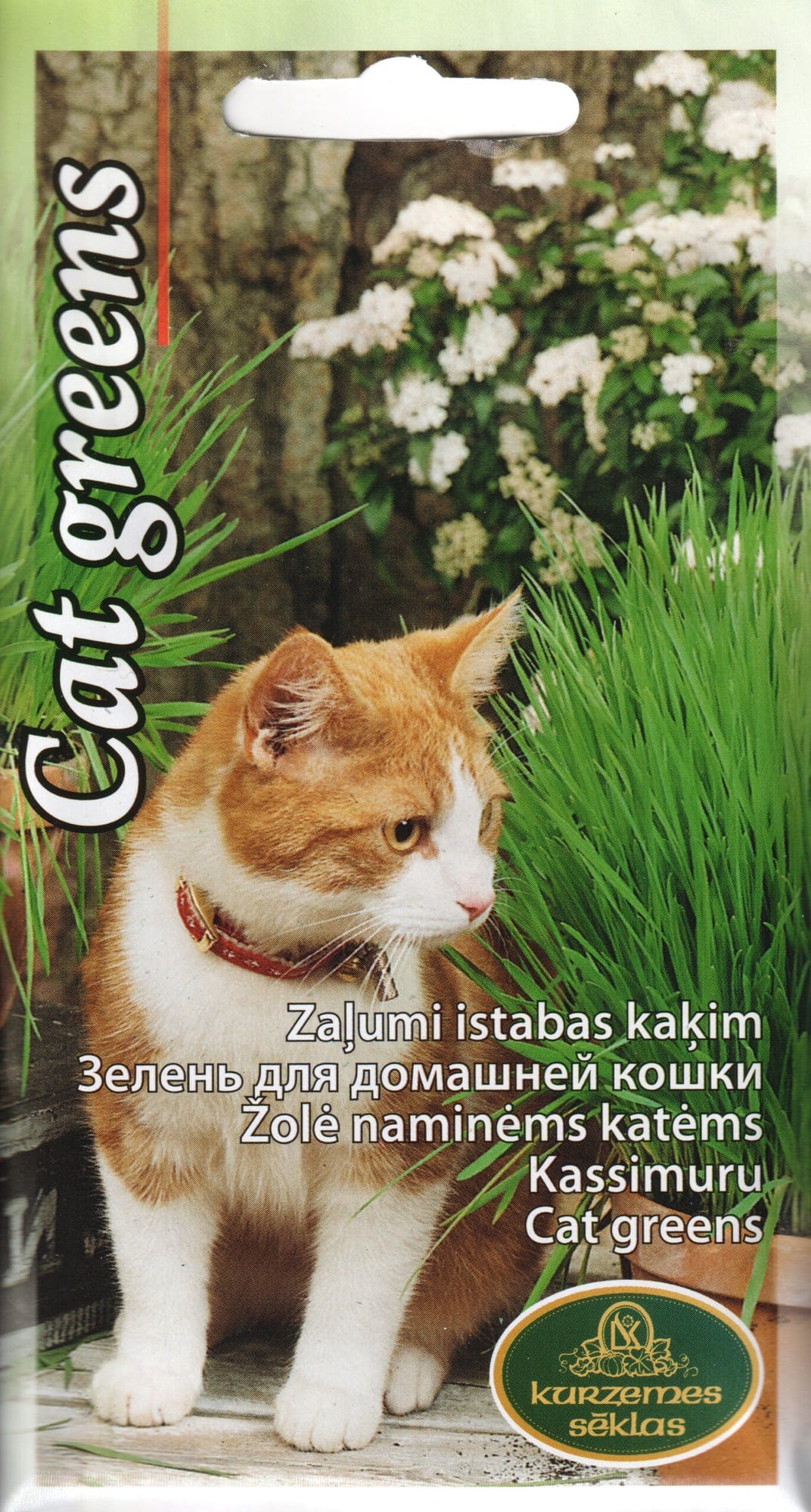 Kassimuru