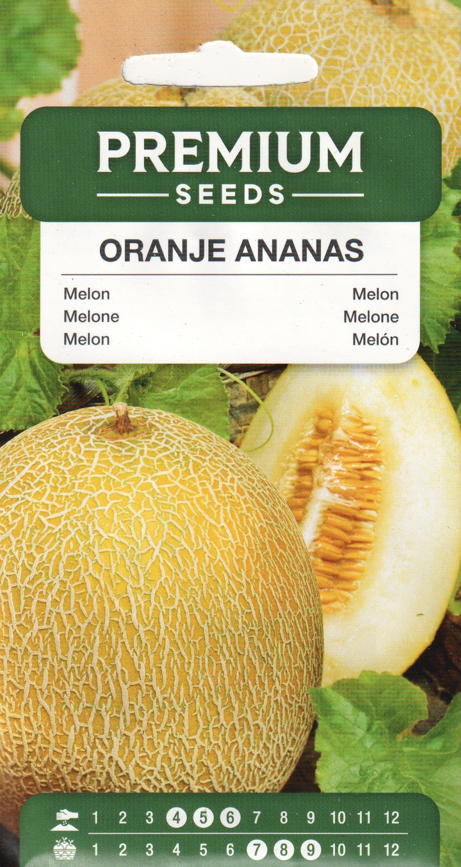 Melon "Oranje Ananas"