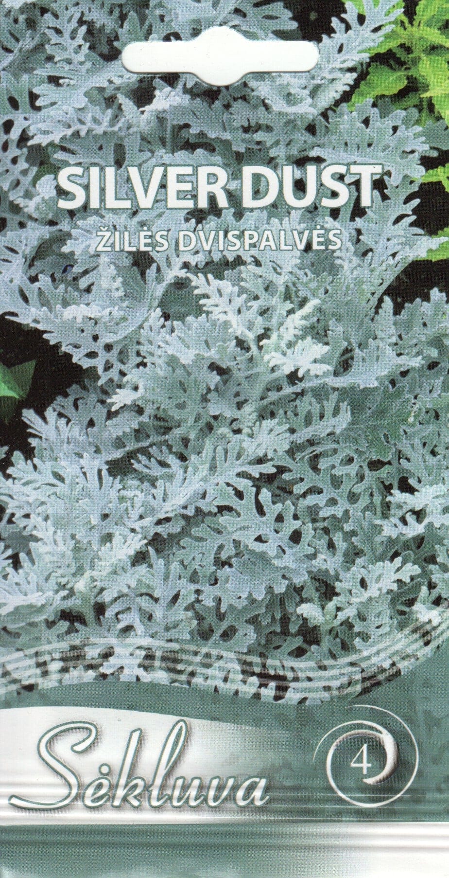 Vilt-ristirohi "Silverdust"