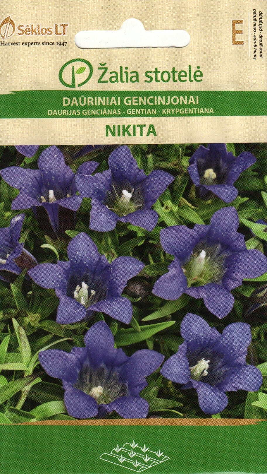 Dauuria emajuur "Nikita"