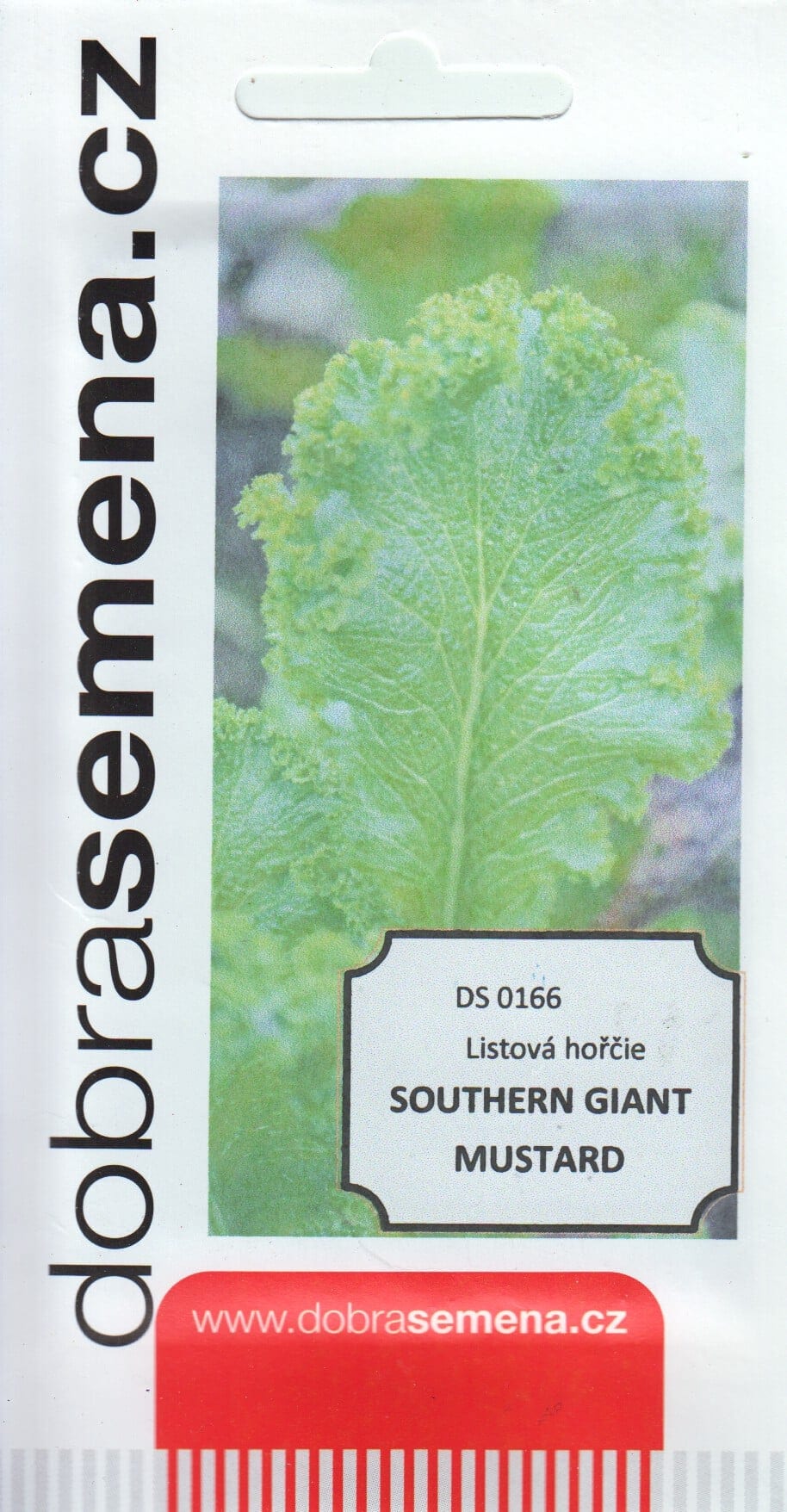 Sarepta sinep "Southern Giant Mustard"