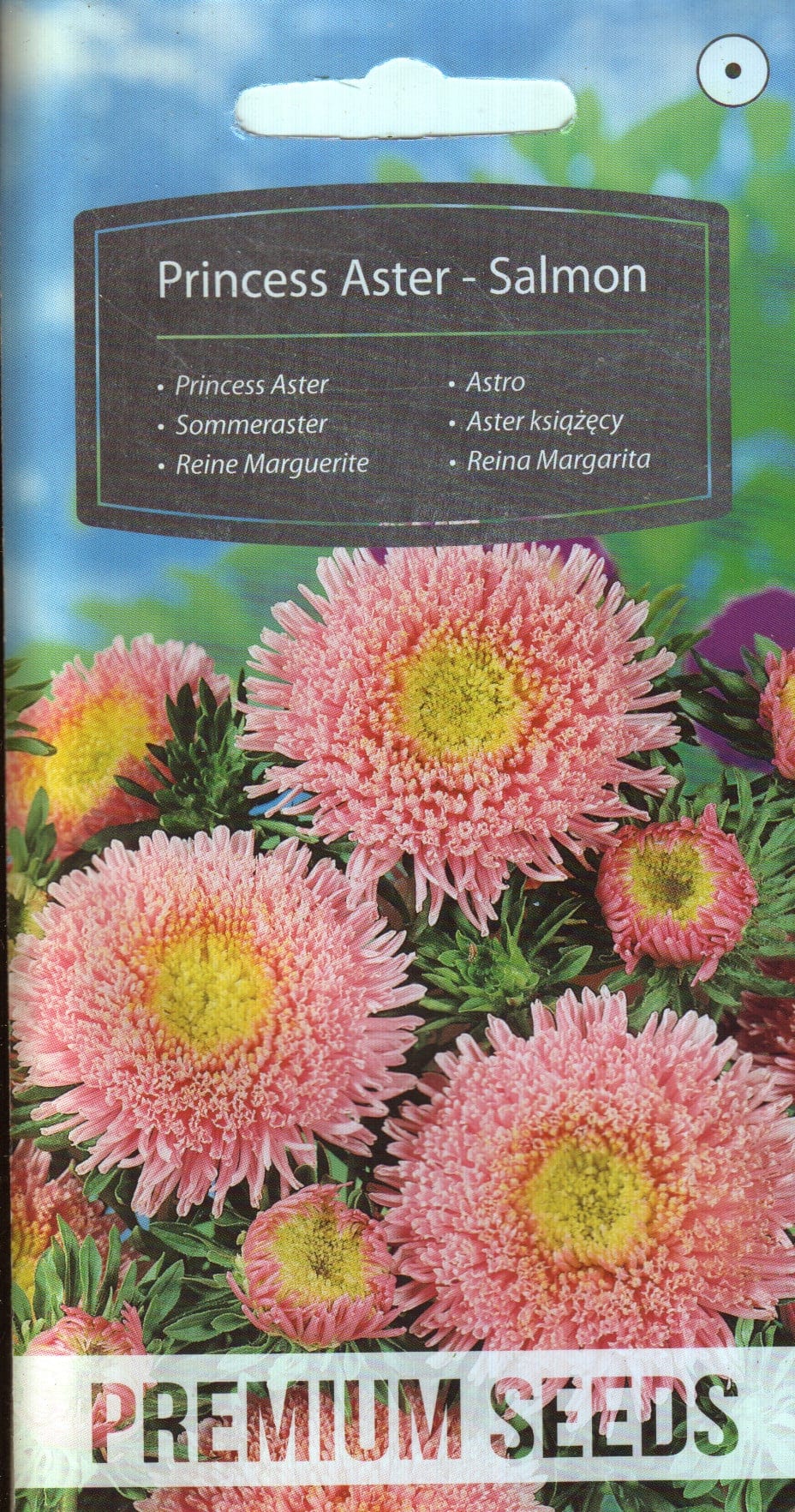 Aster lõheroosa
