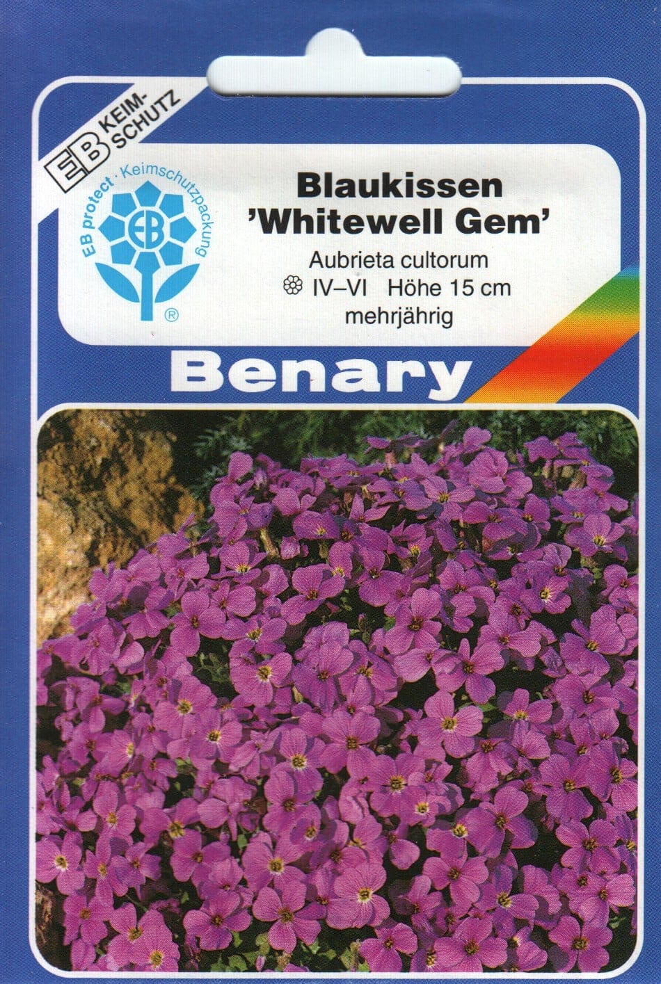 Aed-aubrieeta "Whitewell Gem"