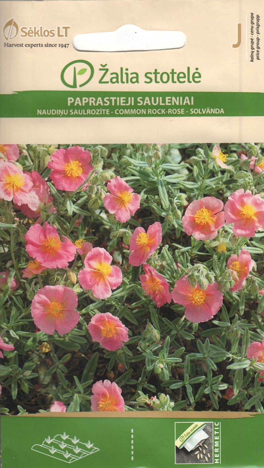 Harilik kuldkann "Rock Rose"
