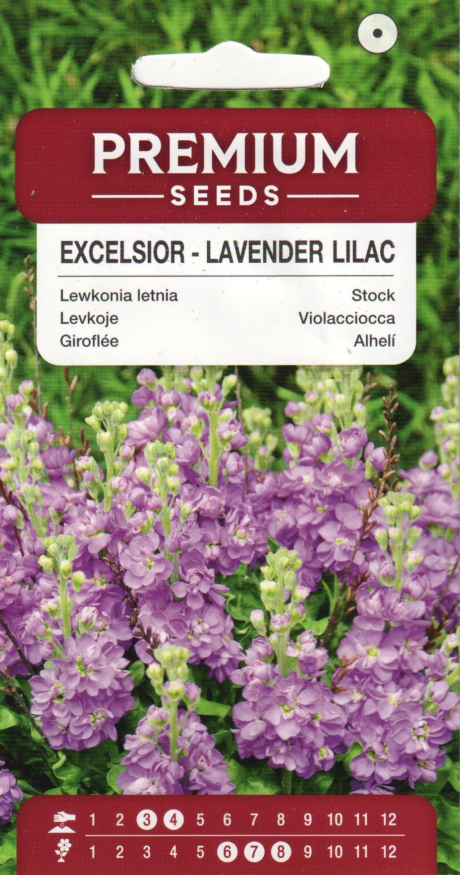 Levkoi "Excelsior Lavender Lilac"