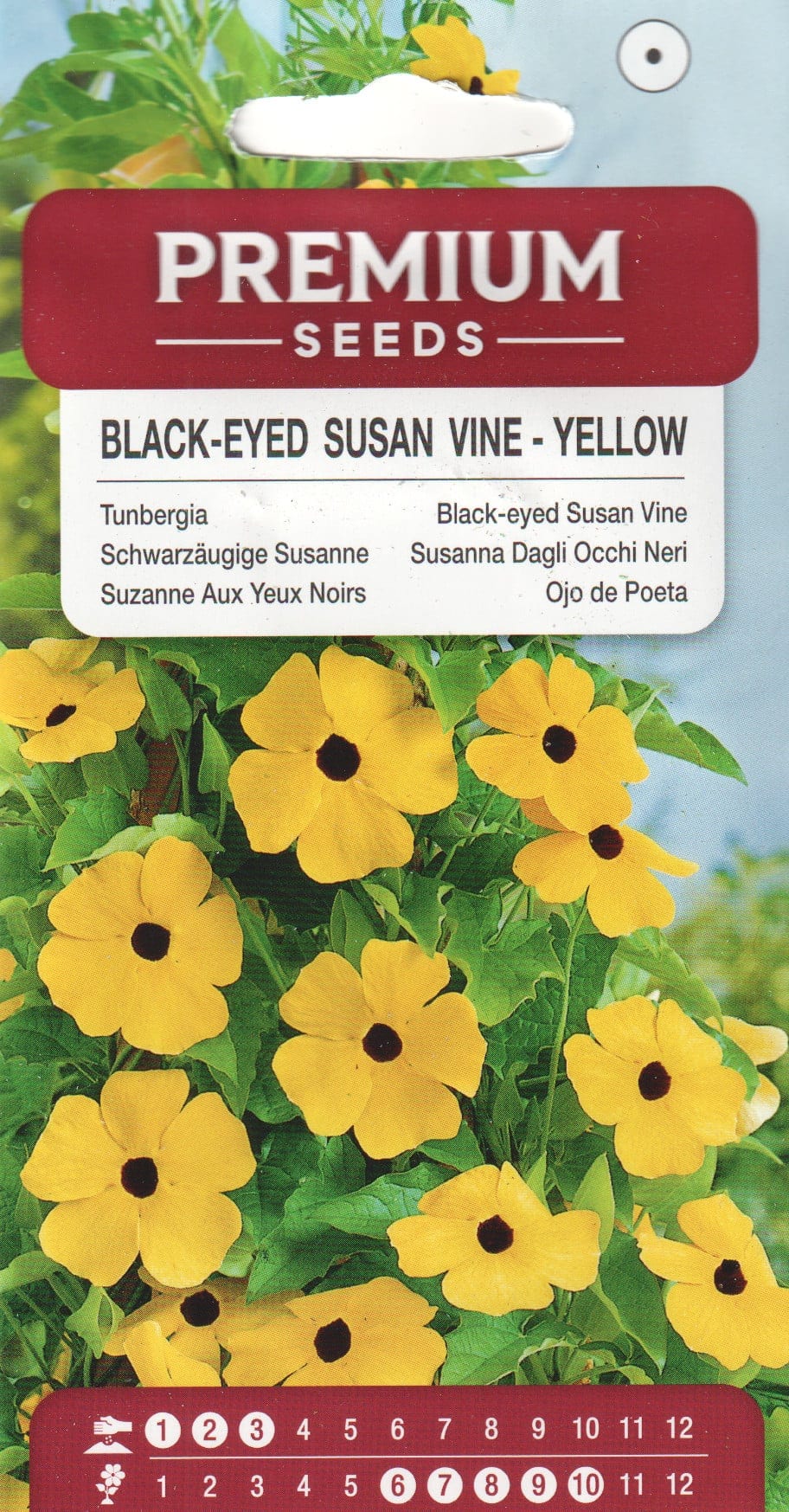 Tiivuline tunbergia "Yellow"