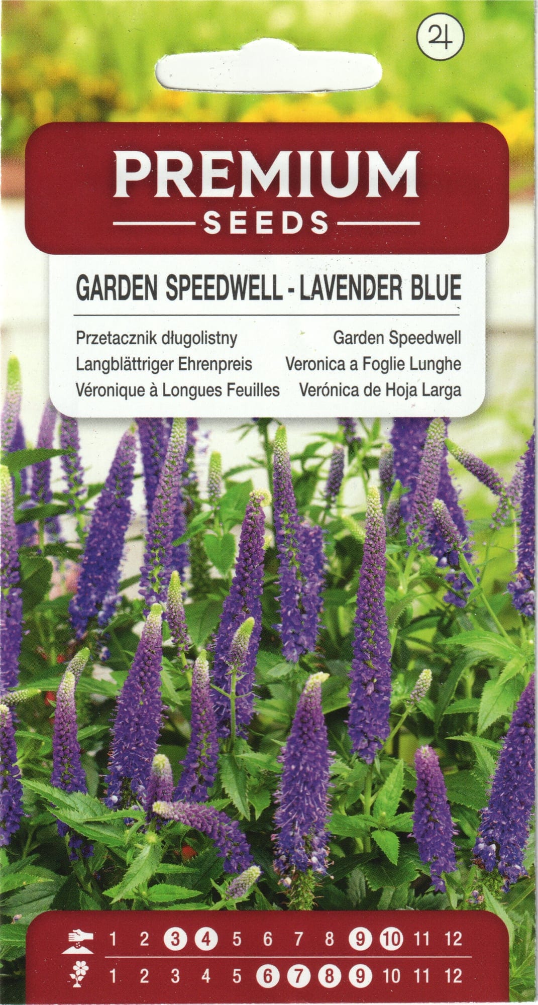 Pikalehine mailane "Lavender Blue"