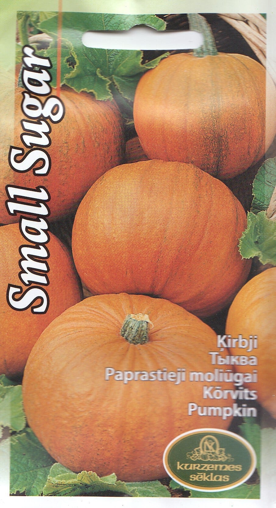 Kõrvits "Small Sugar"