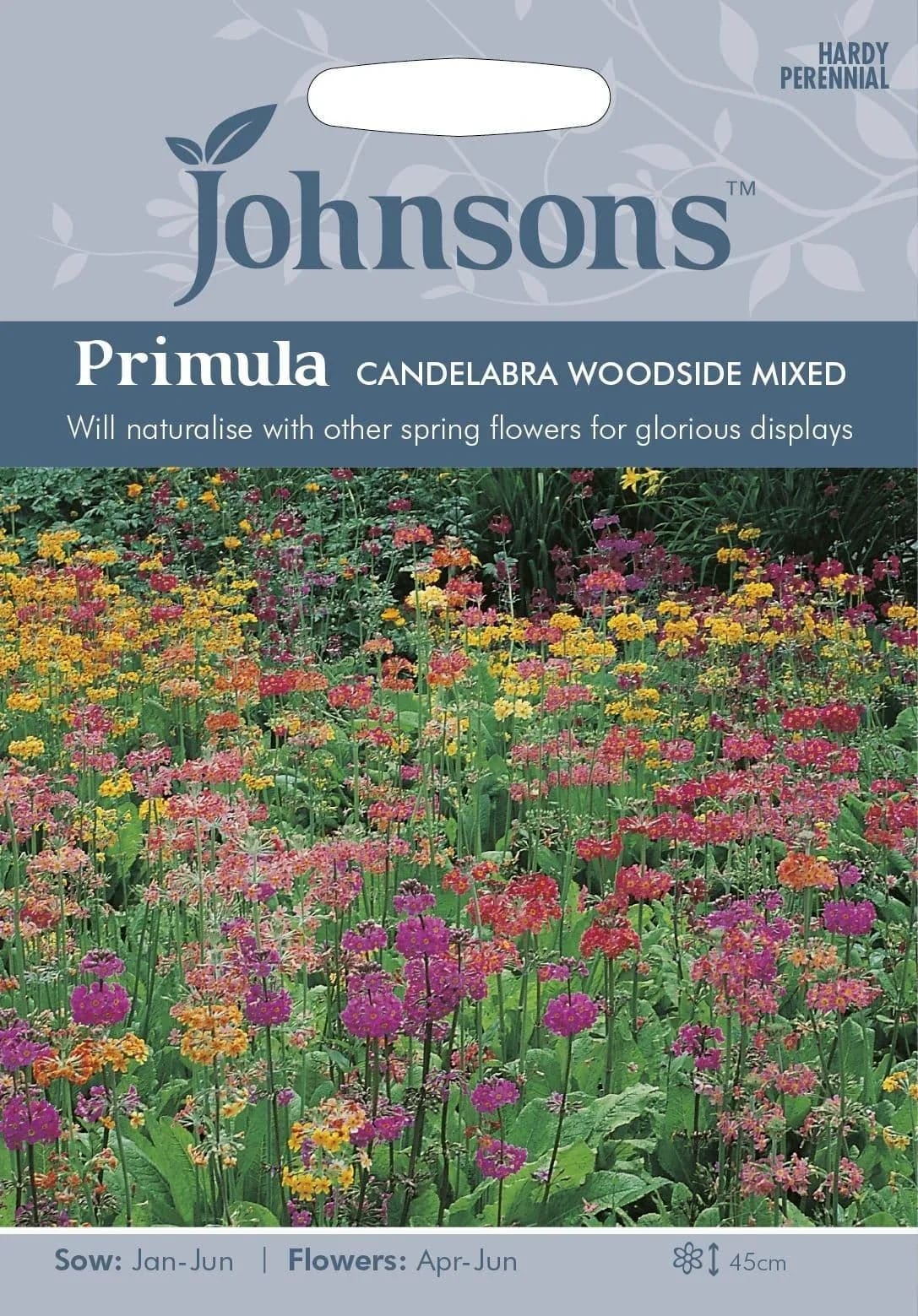 Priimula "Candelabra Woodside Mixed"