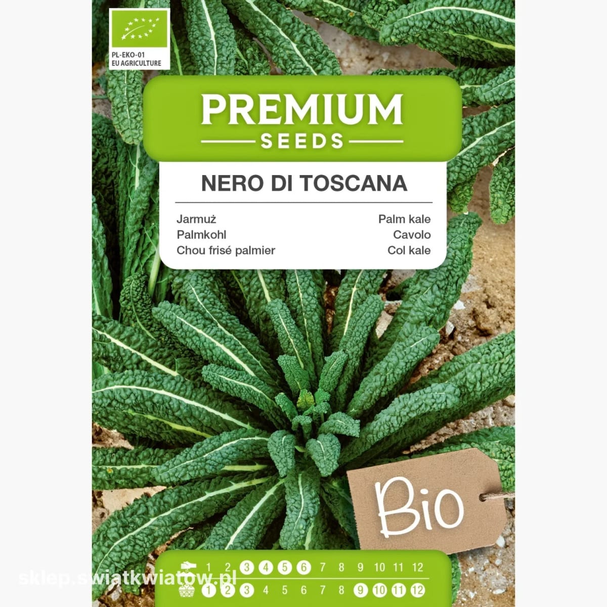 Kähar lehtkapsas "Nero di Toscana"