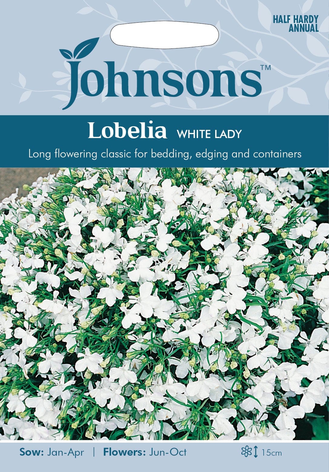 Lobeelia "White Lady"