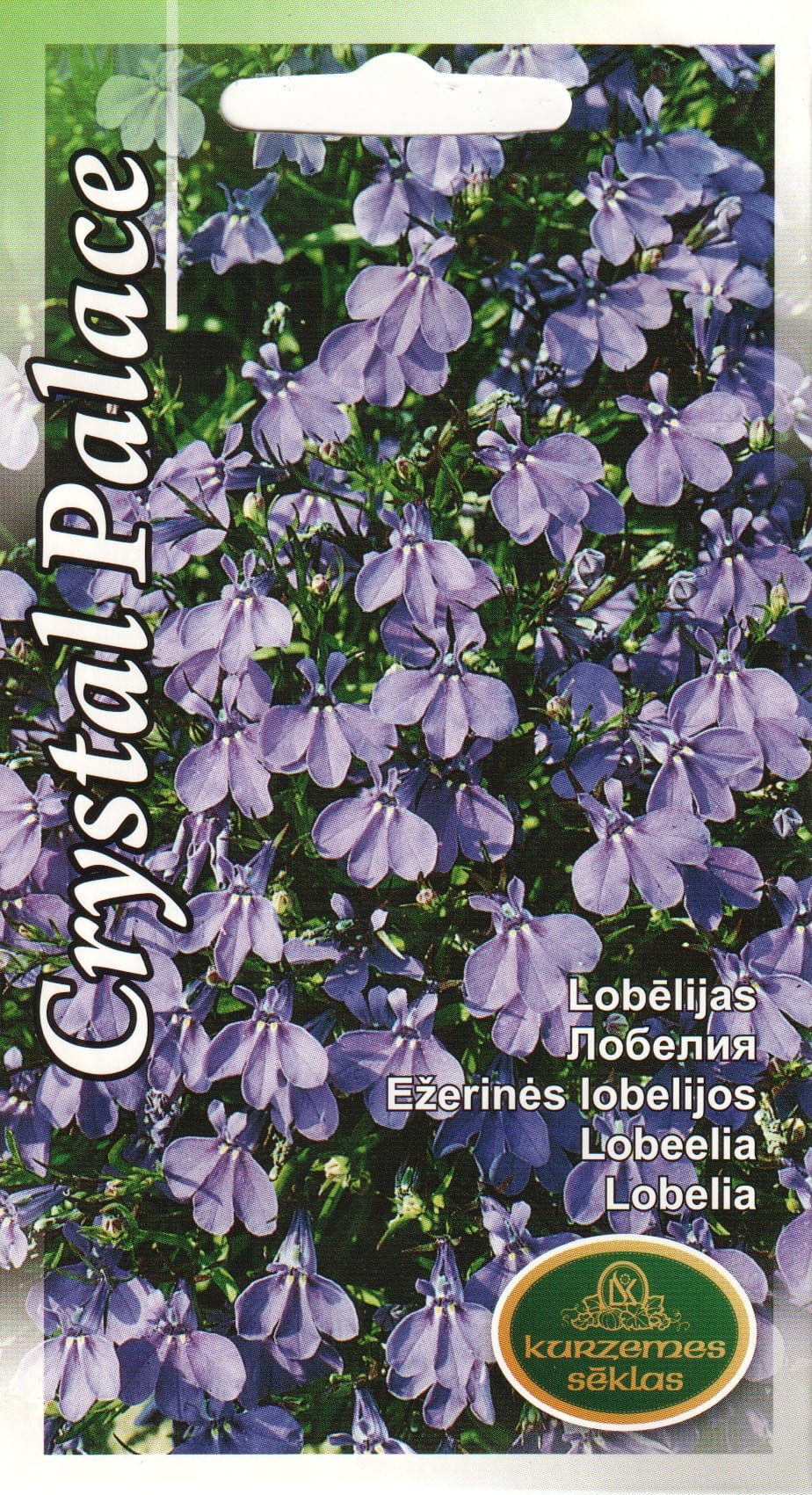 Lobeelia "Crystal Palace"