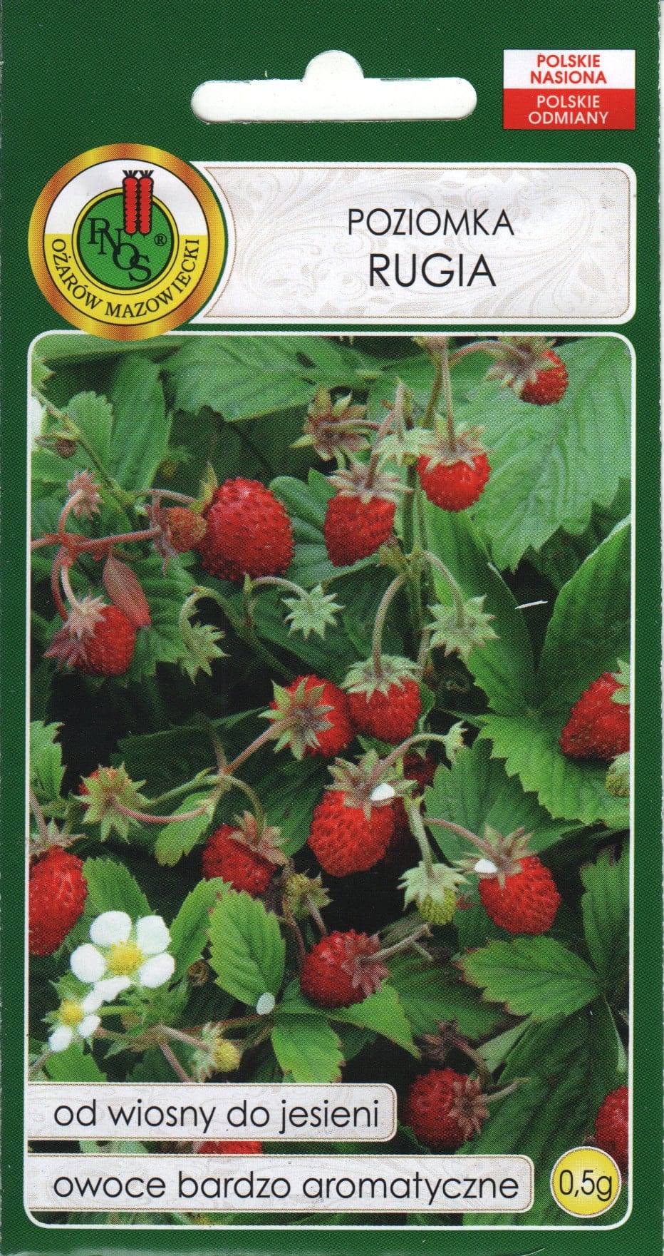 Kuumaasikas "Rugia"
