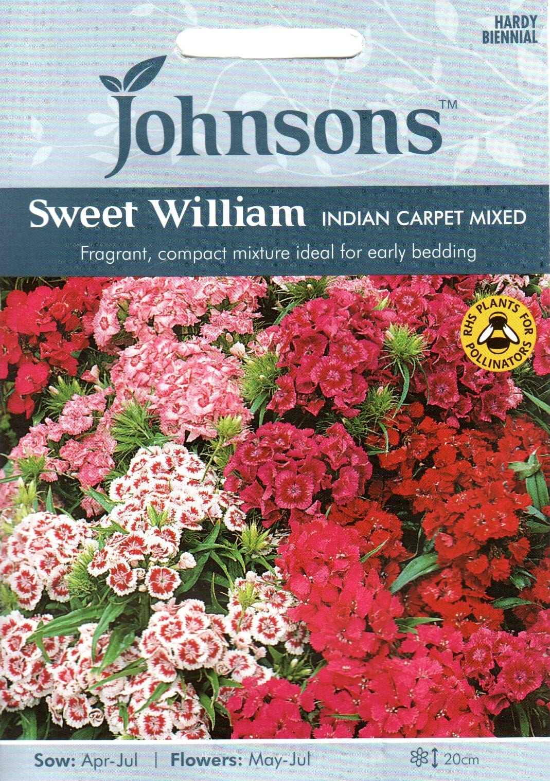 Habenelk kääbussegu "Indian Carpet"