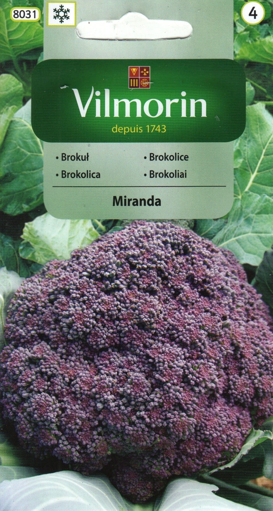 Lilla spargelkapsas "Miranda"
